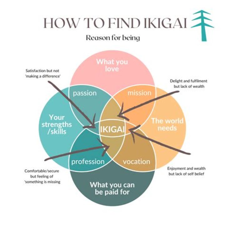 Aagmaal.in: Your Ultimate Guide to Discovering the Best Deals