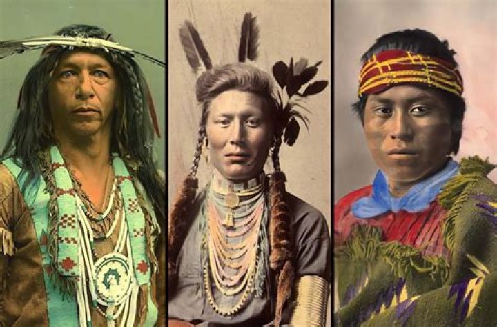 African and Native American Contact in the United States: Anthropological Insights