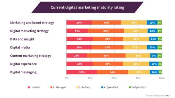 Anna Malygon D: The Rising Star of Digital Marketing
