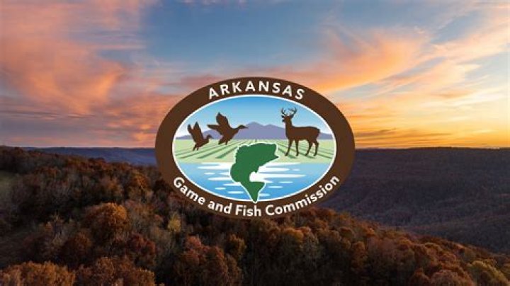 Arkansas Game and Fish: A Comprehensive Guide to Wildlife Conservation and Outdoor Recreation