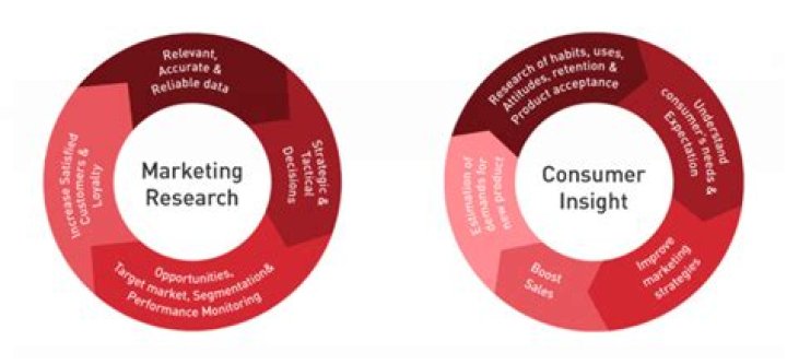 Assessing the True Value of Collars and Co: Financial Insights and Market Influence
