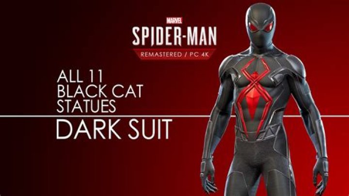 Best Black Cat Spiderman Suit: Enhance Your Spidey Skills