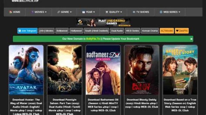 BollyFlix.com 2025: Your Ultimate Guide to Streaming Bollywood Movies