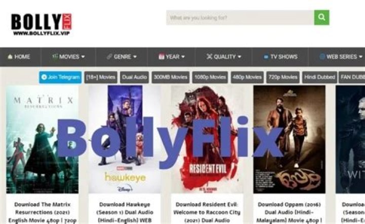 BollyFlix India: The Ultimate Guide to Streaming Bollywood Movies