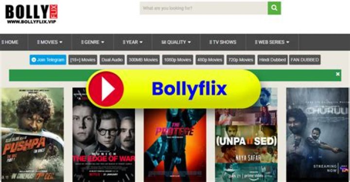 Bollyflix Kannada: Your Ultimate Guide to Streaming South Indian Cinema