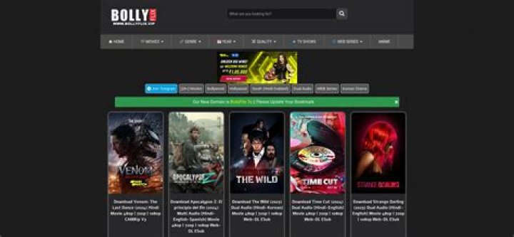 Bollyflix Official Website: Your Ultimate Source for Hindi Dubbed Movies