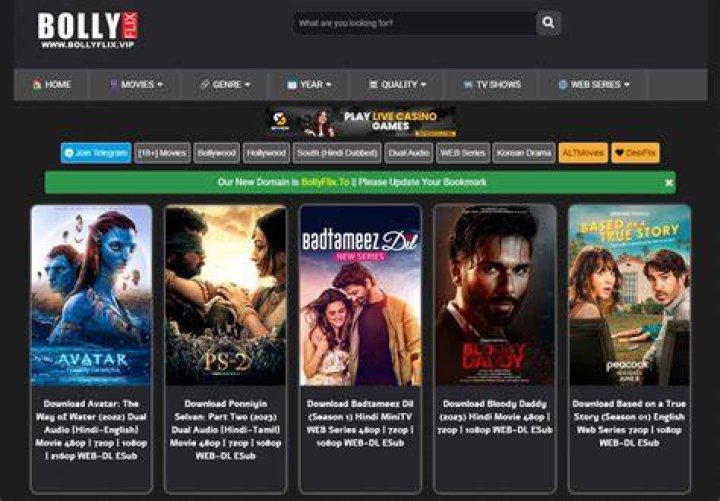BollyFlix Website Movies Download in Hindi: Your Ultimate Guide to Bollywood Entertainment