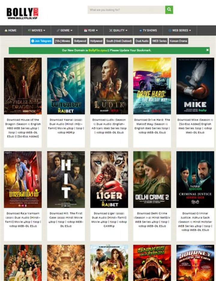 BollyFlix Website Movies: Your Ultimate Destination for Bollywood Entertainment