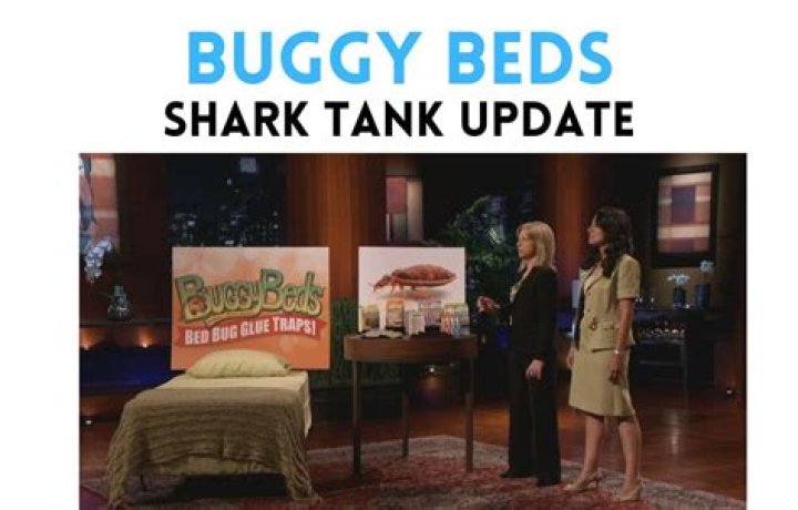 Buggy Beds Shark Tank Net Worth: The Rise of a Bed Bug Detection Empire