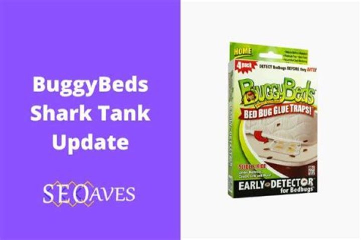 BuggyBeds Net Worth 2024: A Deep Dive into the Bed Bug Detection Empire