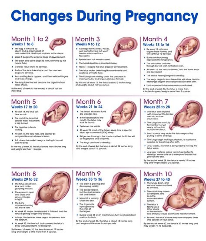 Carrie Underwood's Pregnancy Journey: A Timeline of Early Signs and Growing Bump