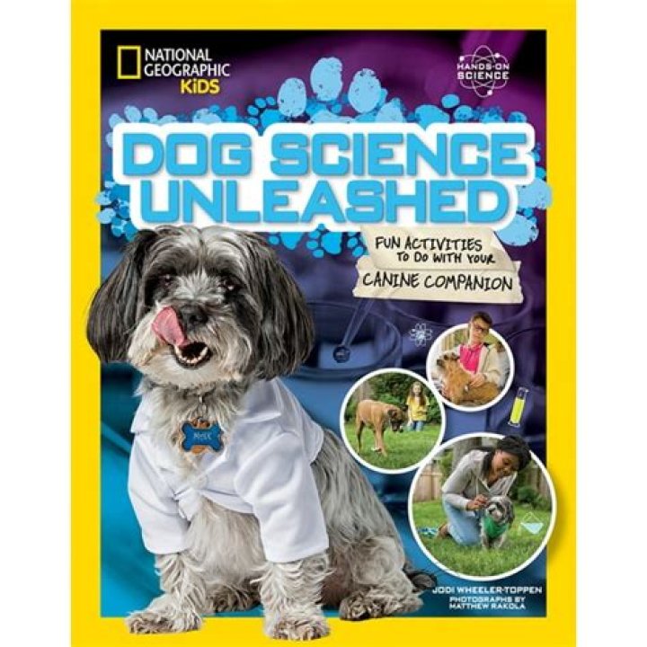 Catch the Endless Adventure with Your Canine Companion: The Unending Dog Story