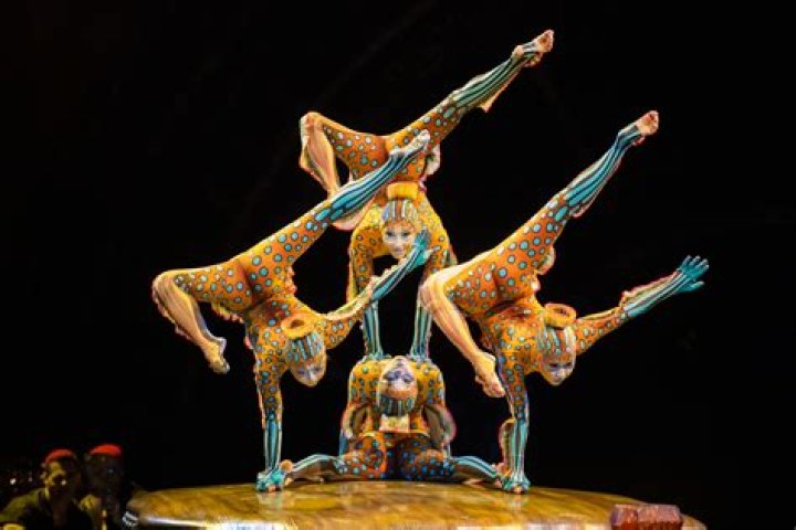 Circus Train Adventures: A Journey Through the Spectacle of Circus Life