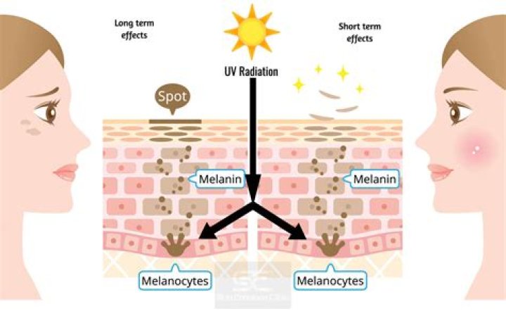 Dausy Melanin: The Ultimate Guide to Unlocking Your Natural Glow