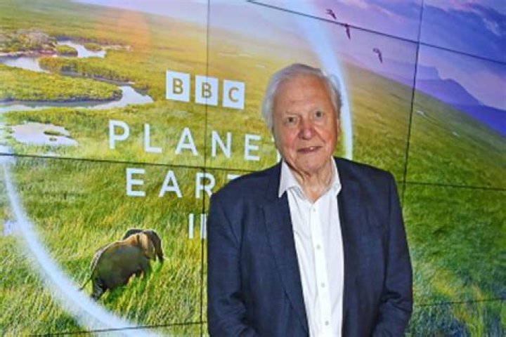 David Attenborough Height: A Fascinating Insight into the Iconic Broadcaster