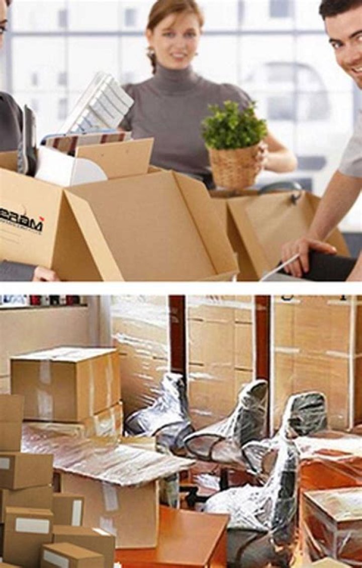 Discover Expert Viking Movers: Your Trusted Relocation Partners