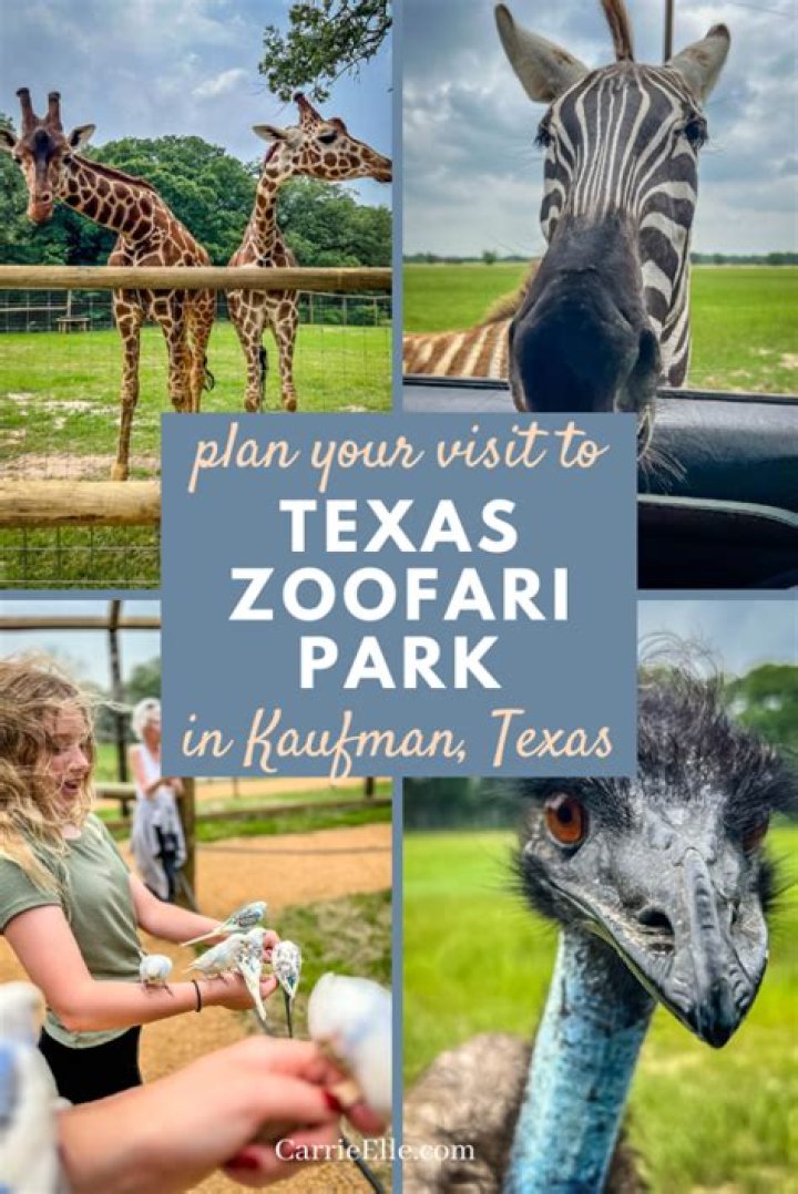 Discover the Wonders of Texas Zoofari Park