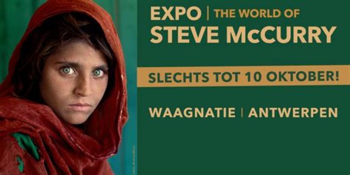 Discover the World of Steve Harvey: An Inspiring Journey