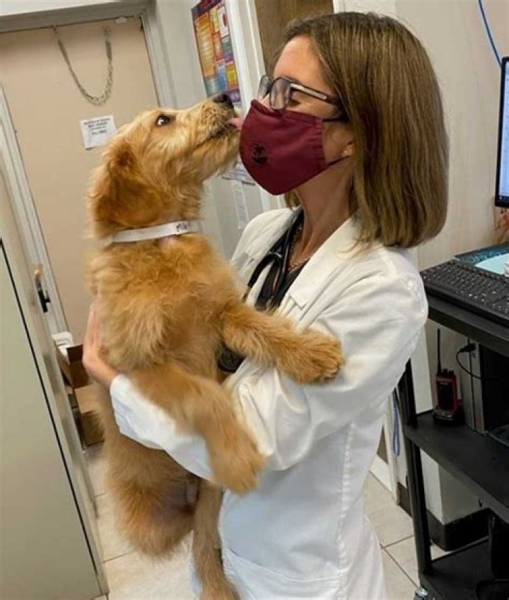 Discovering Compassionate Care at Bethany Family Pet Clinic