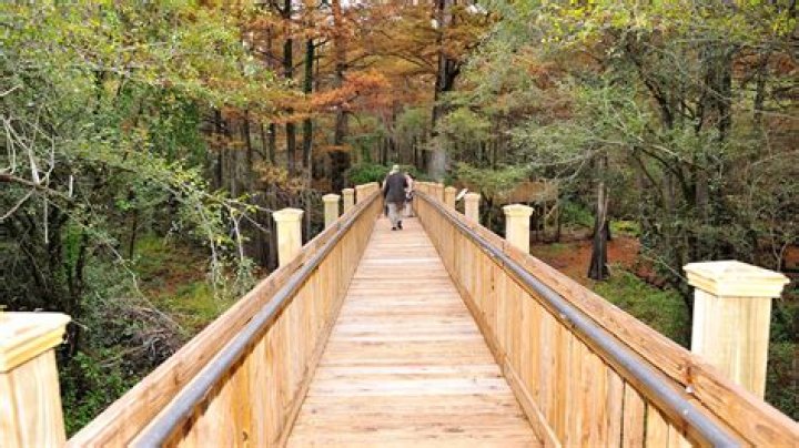 Discovering Hernando MS: A Hidden Gem in Mississippi