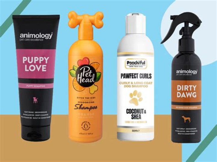Discovering the Best Dog Shampoo That Smells Great: A Comprehensive Guide