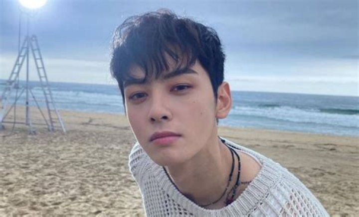 Discovering the Charismatic Journey of Cha Eun Woo
