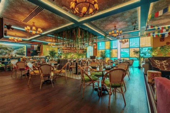 Discovering the Culinary Wonders of Mission City Grill