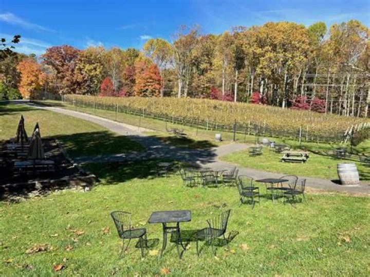 Discovering the Hidden Gem: Paradise Winery Clifton