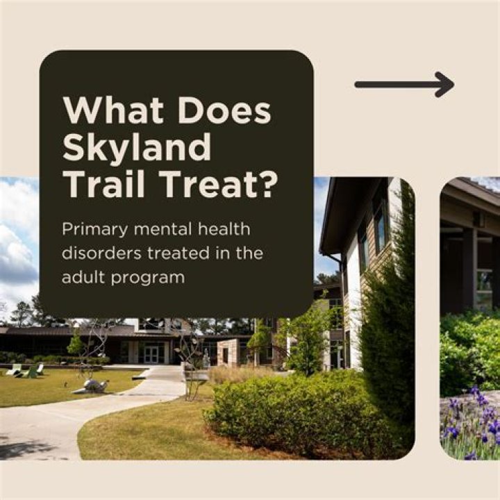 Discovering the Wonders of Skyland Trail