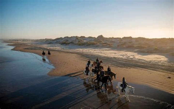 Discovering Wana Wana South Padre Island: A Hidden Gem