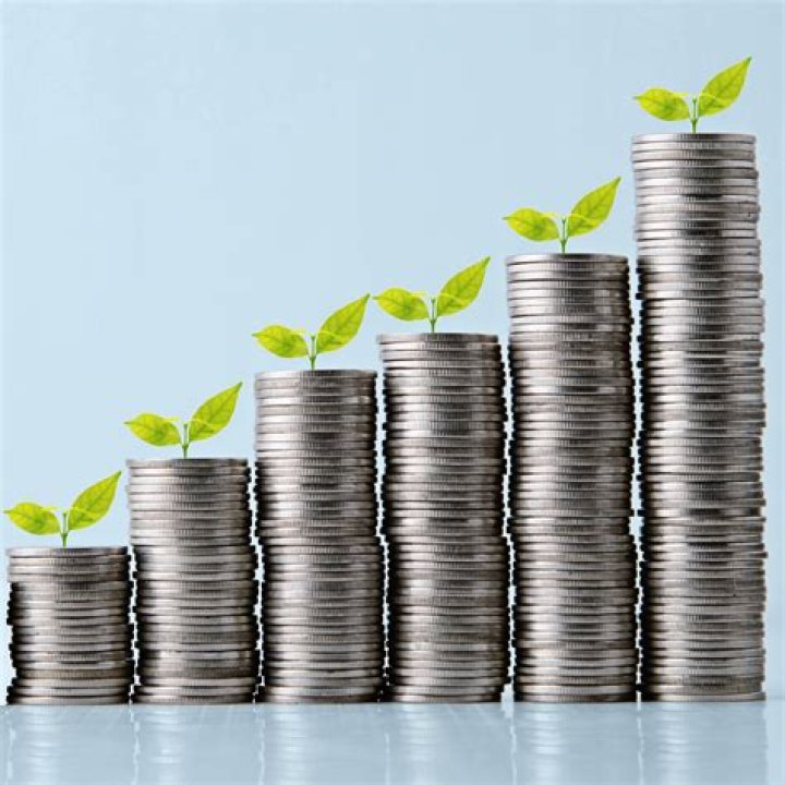 Drainwig Net Worth 2023: Insights into the Financial Growth of a Household Innovation