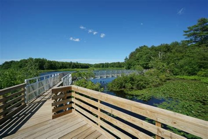 Eagle Brook: A Hidden Gem in Norfolk, MA