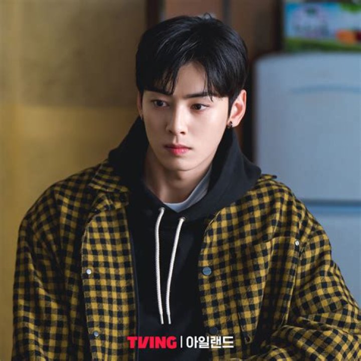 Engrossing TV Shows Featuring the Captivating Cha Eun Woo