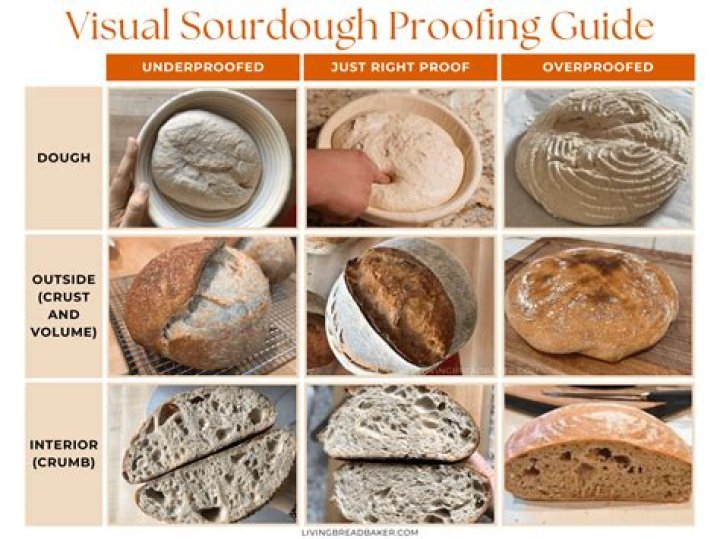 Essential Guide to the 