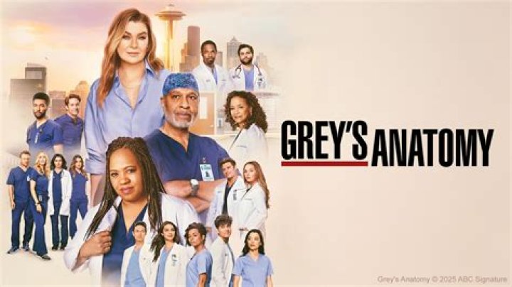 Everything You Need to Know About Grey's Anatomy Season 19