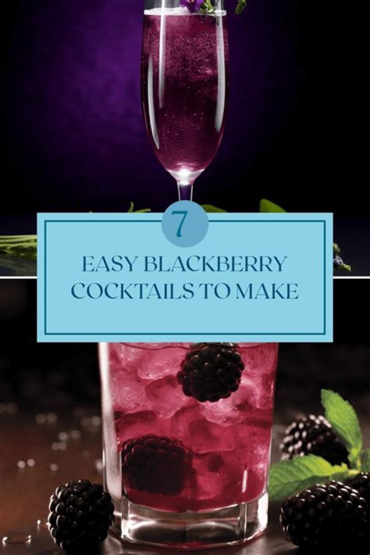 Exceptional Piddy Blackberry Vodka: Discover a Taste of Blackberry Bliss