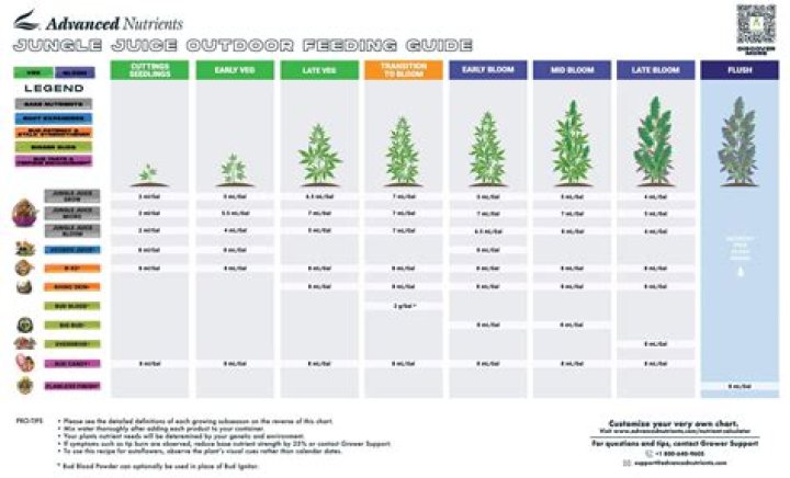 Explore NJ METRC: The Comprehensive Guide to Cannabis Regulations