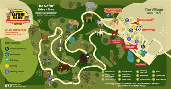 Explore the Wonders of Tennessee Safari Park