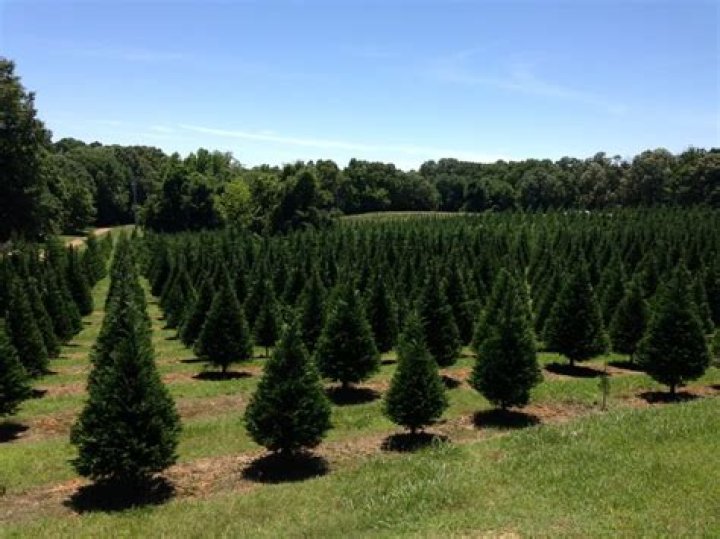 Exploring the Charm and Bounty of Cedar Hill Farms