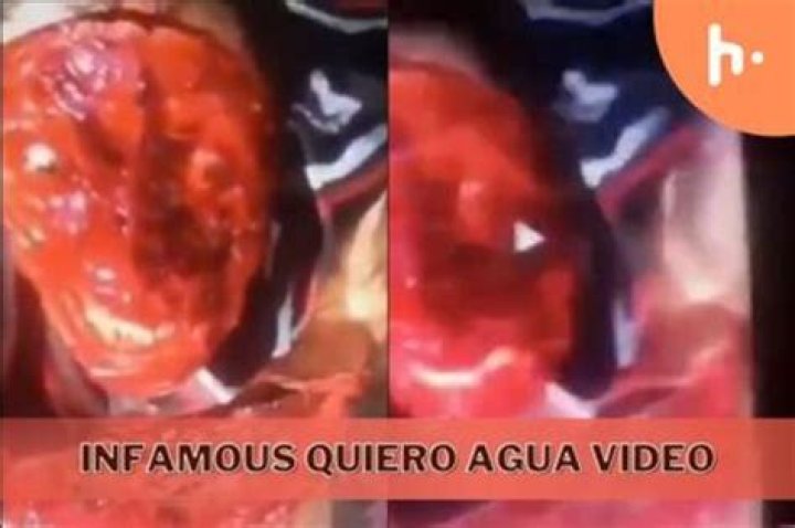 Exploring the Chilling World of Quiero Agua Gore Videos: A Deep Dive