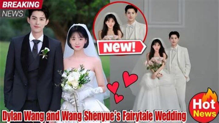 Exploring the Relationship Status of Dylan Wang and Shen Yue