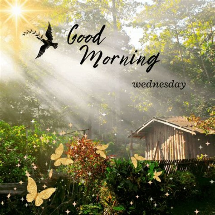 Good Morning Thursday: Embracing the Midweek Vibe