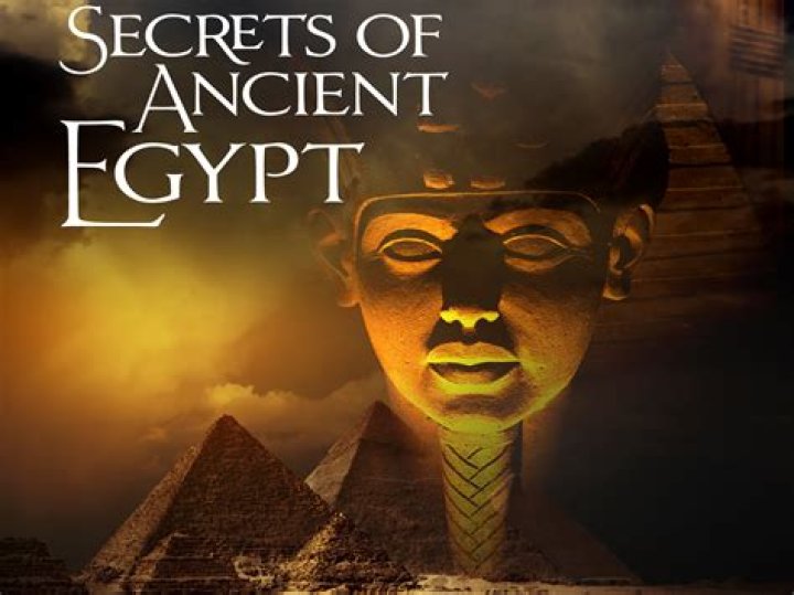 Google Discovery: Uncover the Secrets of 