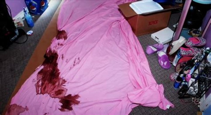 Gypsey Rose Crime Scene Photos Leaked: The Shocking Truth Behind the Case