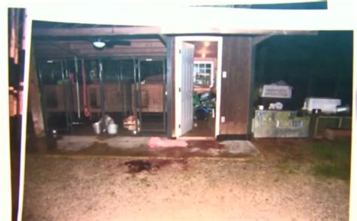 Gypsy Rose Mother's Murder Scene: An Unsettling Tale of Filicide