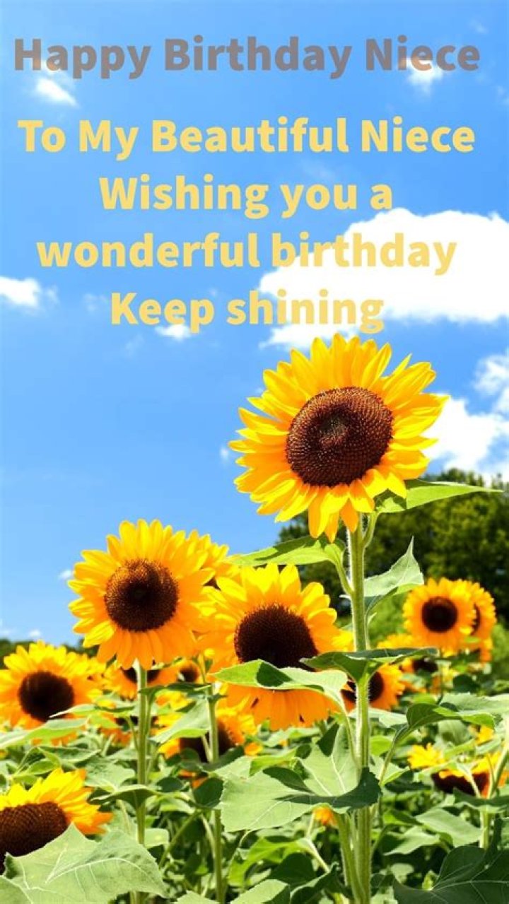 Happy Birthday for Niece Images: The Ultimate Guide to Finding the Perfect Birthday Wishes
