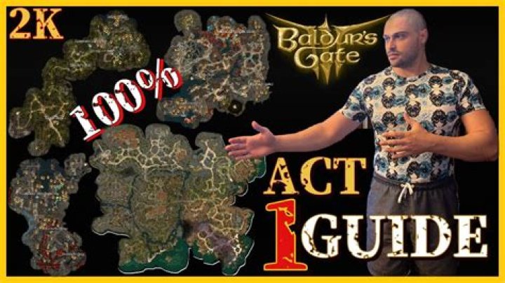 His Majesty BG3: The Ultimate Guide to Baldur's Gate 3