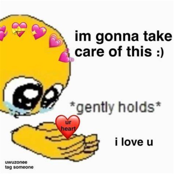 Hold Gently Meme: The Cutest Way to Express Caution