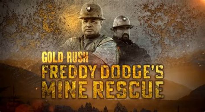 How Much Is Freddy Dodge Worth? Net Worth, Biography, and Career Insights