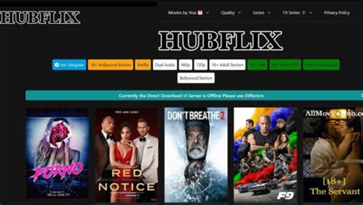 HubFlix: Your Ultimate Streaming Companion